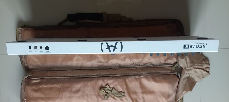 Seagull Entourage Mini Jumbo Rustic acoustic guitar รูปที่ 3