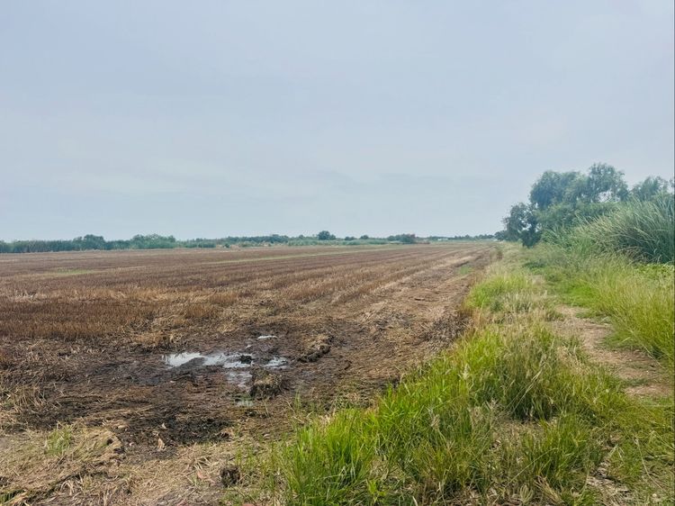 ขายที่ดิน 10 ไร่ 34 ตารางวา ต.บ้านเลน อ.บางปะอิน จ.อยุธยาฯ รูปที่ 4