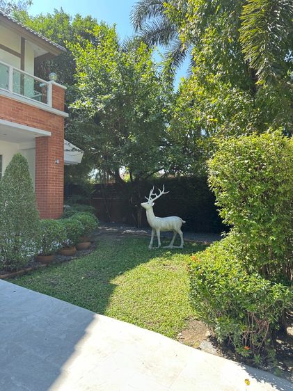 Land and Houses ตกแต่งครบ 2021 ขายหรือให้เช่า บ้านเดี่ยว หมู่บ้านลัดดารมย์ ราชพฤกษ์-รัตนาธิเบศร์2 รูปที่ 3