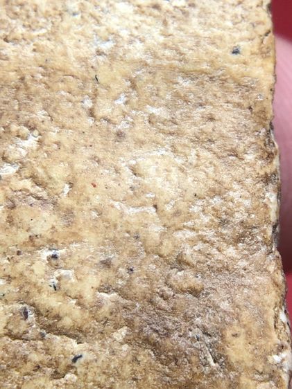 พระสมเด็จพิมพ์ใหญ่ รูปที่ 9