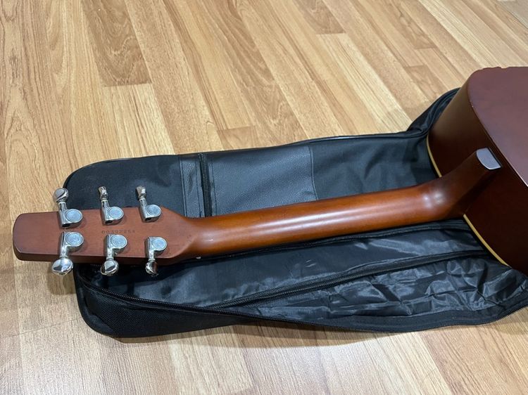 Seagull S6 Plus Cedar made in Canada รูปที่ 6