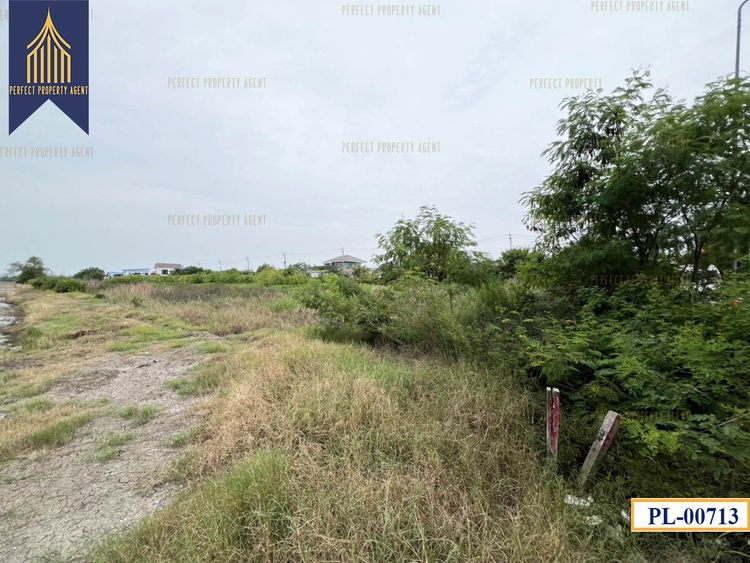 ขายที่ดิน 77ไร่ แบ่งได้ สีม่วงเข้ม สร้างโรงงาน บางบ่อ สมุทรปราการ ใกล้นิคมเวลโกรว Wellgrow Industrial Estate รูปที่ 3