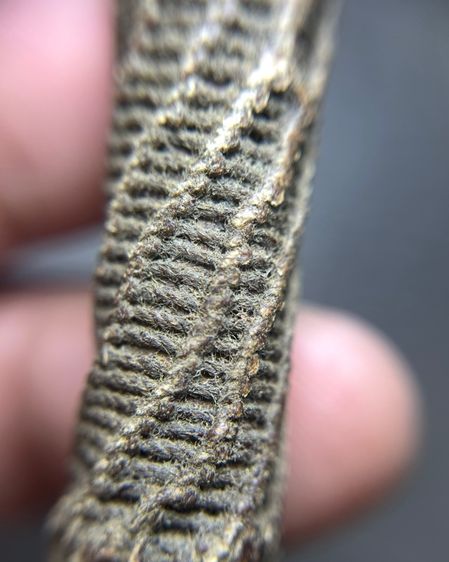 เปิดตะกรุด4.7นิ้ว ไม่ทราบที่ (มีสินค้าหลายรายการกดเข้ามาดูในโปรไฟล์ได้เลยครับ) รูปที่ 5