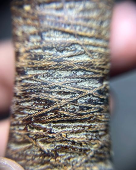 ใบลาน5.5นิ้วไม่ทราบที่ (มีสินค้าหลายรายการกดเข้ามาดูในโปรไฟล์ได้เลยครับ) รูปที่ 8