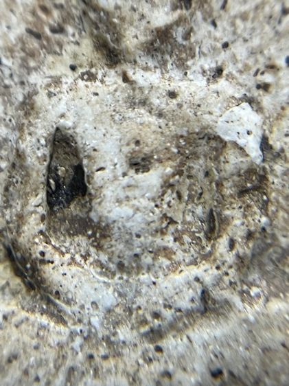 สมเด็จสภาพสึกครับ รูปที่ 7