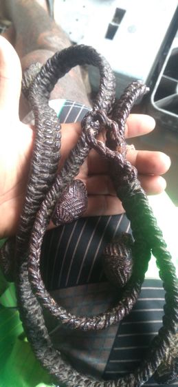 เบี้ยแก้ขาดเอวลงลักเก่า รูปที่ 2