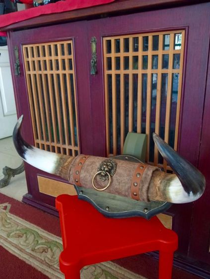 แท้สุดงามชขนาดใหญ่สภาพเยี่ยม  รูปที่ 4