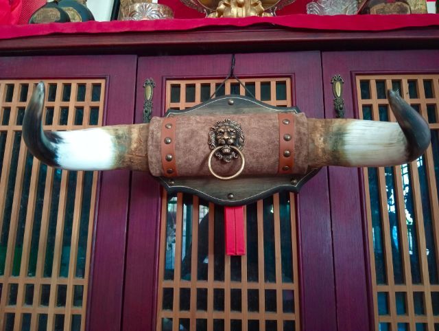 แท้สุดงามชขนาดใหญ่สภาพเยี่ยม  รูปที่ 3