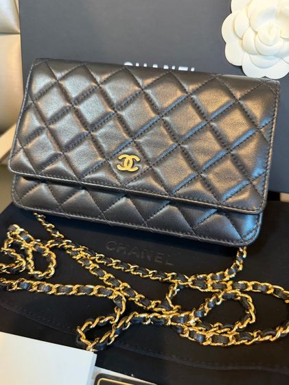 Chanel WOC Classic Lambskin รูปที่ 2