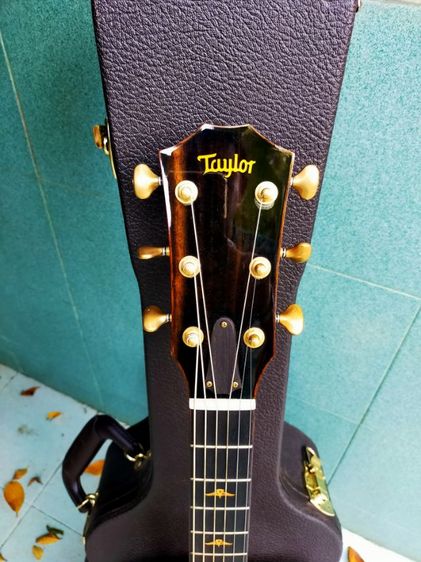 ✅✅ Taylor 516e fltd ถูกๆครับ 45000บ. รูปที่ 5