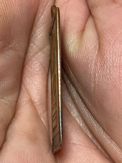 เหรียญปรกโพธิ์ หลวงปู่นาค วัดหัวหิน รูปที่ 3