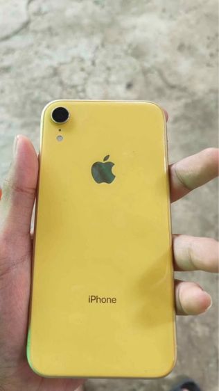 iPhone XR 256GB รูปที่ 3