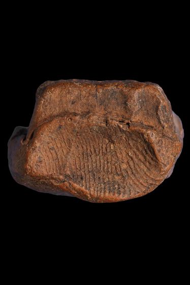 พระเก่า ฐาน 1.5 สูง2.8 ซ.ม BB 194 รูปที่ 3