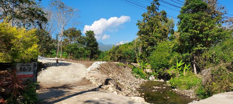 ขายที่ดินแม่ริมเชียงใหม่