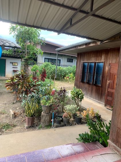 อื่นๆ มีบางส่วน สร้างเสร็จก่อน 2010 ขายบ้านพร้อมที่ดินในตัวเมืองเชียงดาว รูปที่ 3
