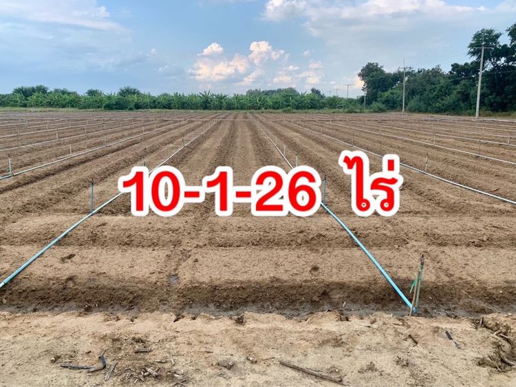 ขายที่ดิน10ไร่ โฉนดครุฑแดงพร้อมโอน ใกล้เทศบาลวังศาลา เข้าออกได้หลายทาง ติดถนนสาธารณะ วิวสวย บรรยากาศดี