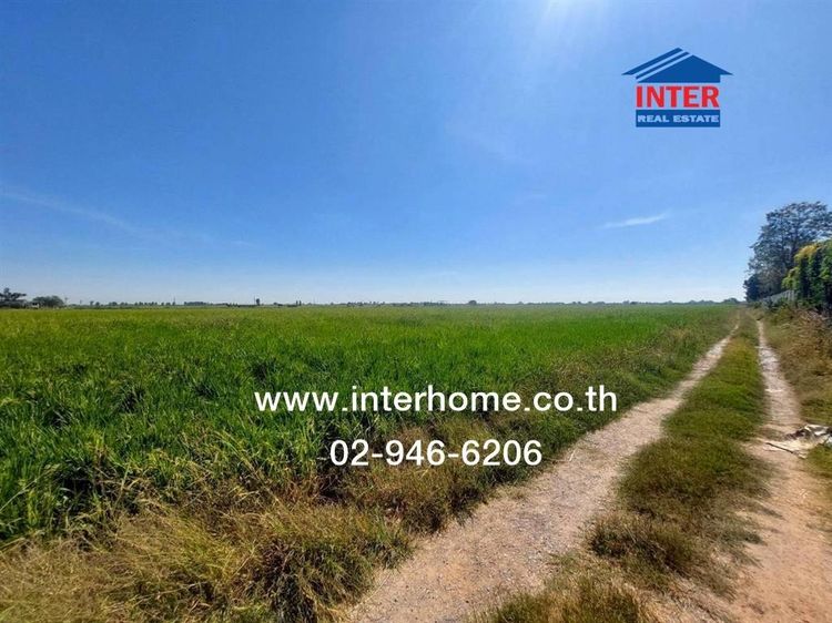 ที่ดินเปล่า 64 ไร่ 112 ตร.ว. ที่ดิน ซอยตรงข้ามวัดทำเลทอง ใกล้โรงงานแสนสิริ ถนนลำไทร-นิมิตใหม่ (ถนนอบจ.ปทุมธานี2006 ) ถนนลำลูกกา ลำลูกกา ปทุม รูปที่ 3