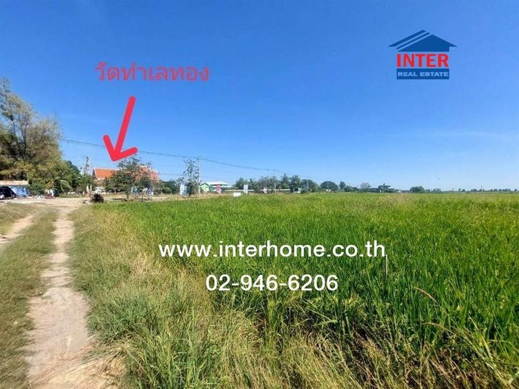 ที่ดินเปล่า 64 ไร่ 112 ตร.ว. ที่ดิน ซอยตรงข้ามวัดทำเลทอง ใกล้โรงงานแสนสิริ ถนนลำไทร-นิมิตใหม่ (ถนนอบจ.ปทุมธานี2006 ) ถนนลำลูกกา ลำลูกกา ปทุม รูปที่ 4
