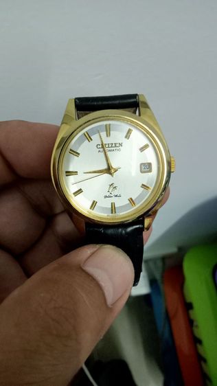 นาฬิกา citizen ปลาโลมา
