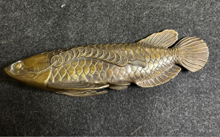 ปลาทองเหลือง รูปที่ 6