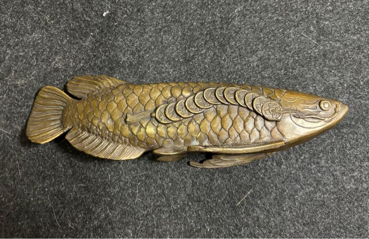 ปลาทองเหลือง รูปที่ 7