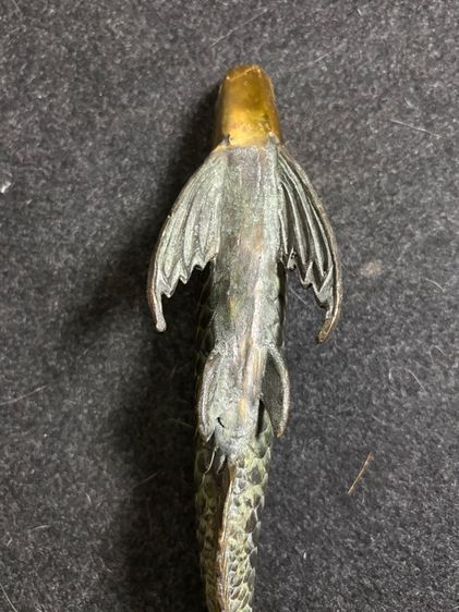 ปลาทองเหลือง รูปที่ 4