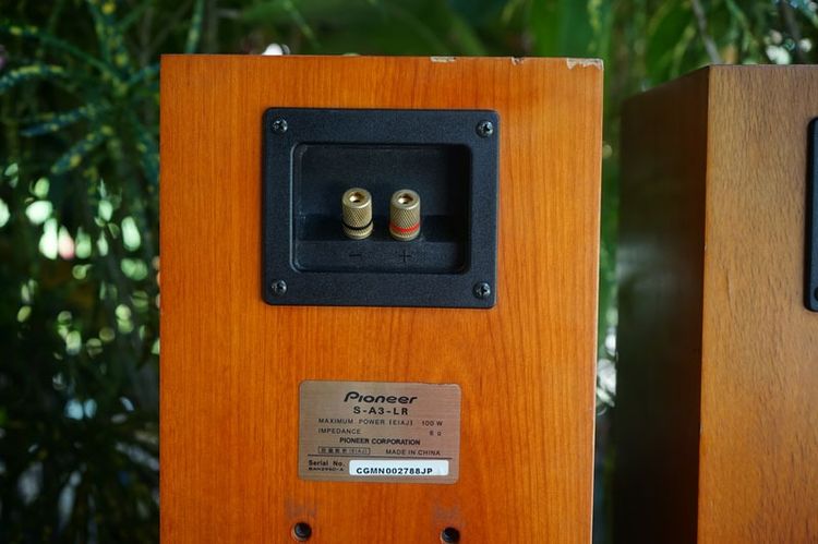 ลำโพงบุคเชลล์ไฮเอนดฺ์ Pioneer S-A3 LR รูปที่ 7
