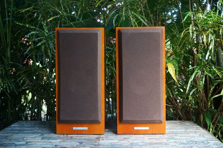 ลำโพงบุคเชลล์ไฮเอนดฺ์ Pioneer S-A3 LR รูปที่ 2