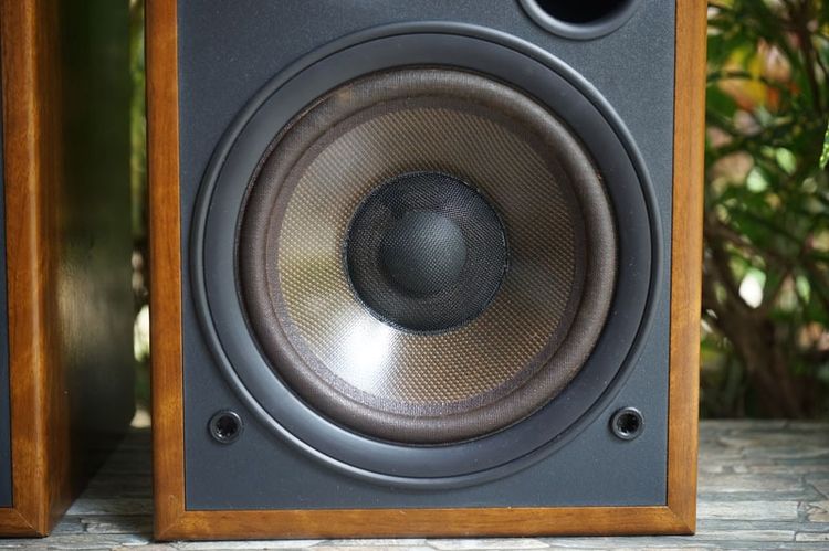 ลำโพงบุคเชลล์คลาสสิควินเทจ Diaton DS-200Z  รูปที่ 17