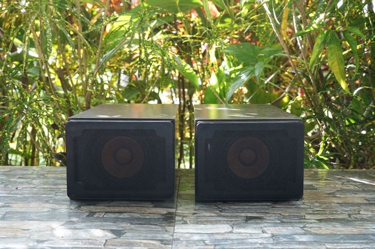 ลำโพงบุคเชล JVC SP-EXS5 กรวยไม้แท้   รูปที่ 2