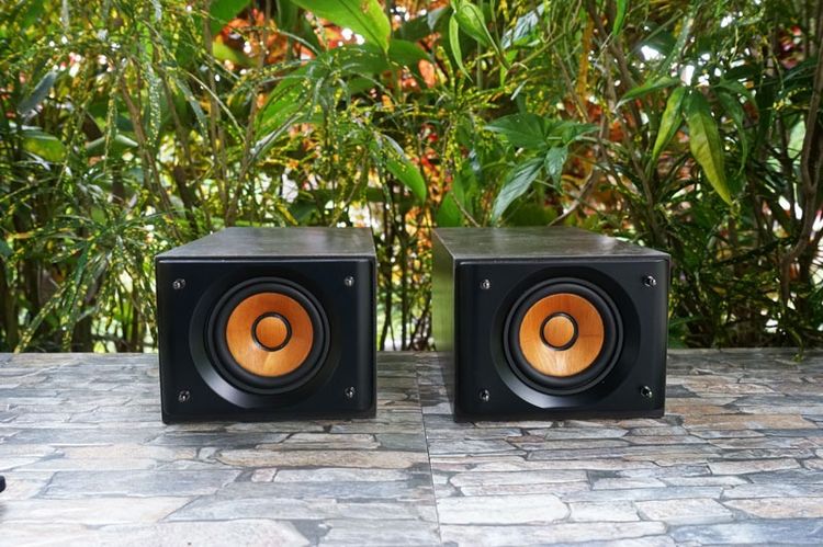 ลำโพงบุคเชล JVC SP-EXS5 กรวยไม้แท้   รูปที่ 6