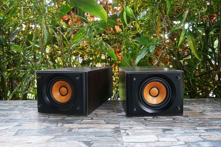 ลำโพงบุคเชล JVC SP-EXS5 กรวยไม้แท้  