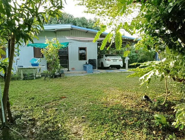 ขายสวนมะม่วงพร้อมบ้านหลังโรงพยาบาลสามชุกบ้านหนองเต่าหมู่๗ตำบลหนองผักนากอำเภอสามชุกสุพรรณบุรีมีรั้วล้อมรอบทั้ง4ด้านน้ำไฟพร้อมเนื้อที่1ไร่58ตาราฃวาราคา2ล้าน4แสนบาทติดต่อลุงศักดิ์0814018632ป้าต๋อย0869024556 รูปที่ 4
