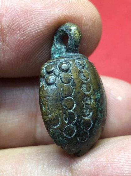 เต่าเรือนพ่อเงิน รูปที่ 4