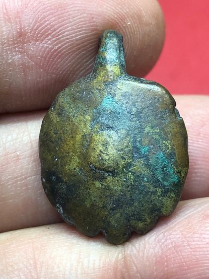 เต่าเรือนพ่อเงิน รูปที่ 6