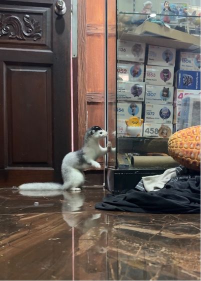 มิ้ง snow silver รูปที่ 2