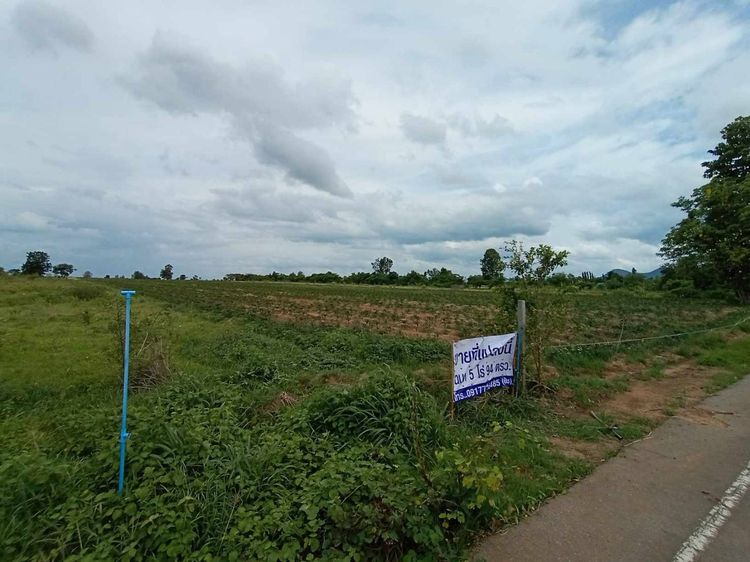ขายที่โฉนด 5 ไร่ 94 ตรว. ห่างอำเภอเมืองกาญเพียง 20 กม. โทร. 0917716485 รูปที่ 2