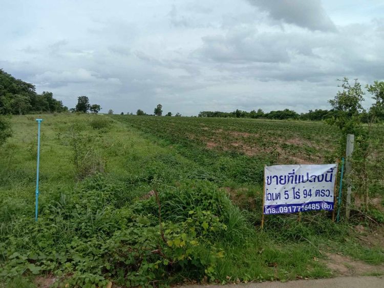 ขายที่โฉนด 5 ไร่ 94 ตรว. ห่างอำเภอเมืองกาญเพียง 20 กม. โทร. 0917716485 รูปที่ 4