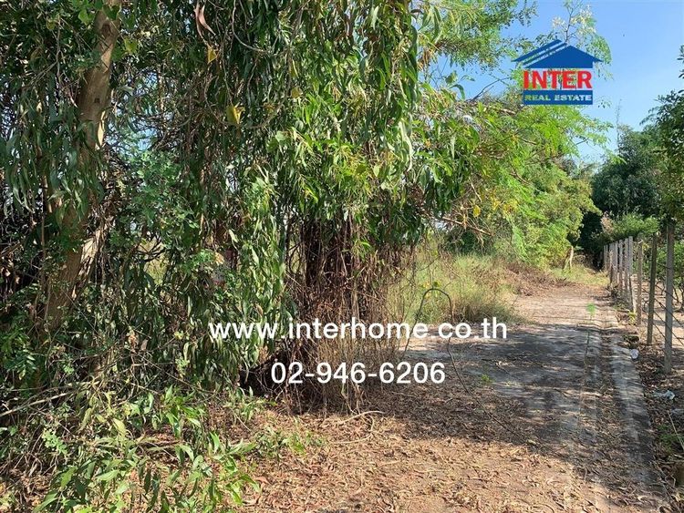 ที่ดินเปล่า 458 ตร.ว. ที่ดินเปล่า ซอยราษฎร์อุทิศ10 (ซอย เพ็ชรรัตน์) ใกล้สนามกอล์ฟวินด์เซอร์ปาร์ค แอนด์ กอล์ฟคลับ เขตมีนบุรี กรุงเทพมหานคร รูปที่ 4