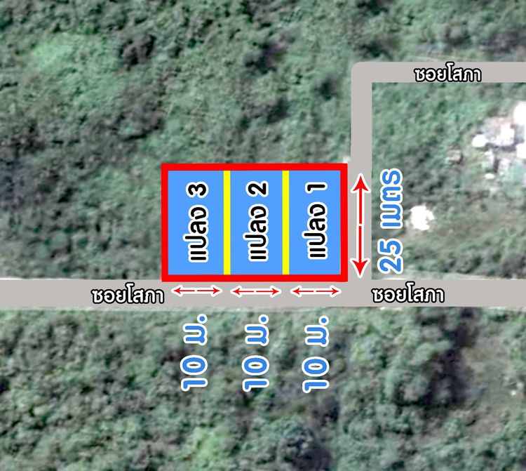 ที่ดินแปลงสวย ทำเลดี ราคาถูก ต.สะเตงนอก อ.เมือง จ.ยะลา