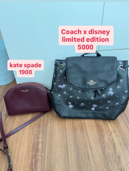 กระเป๋า kate spade  รูปที่ 2