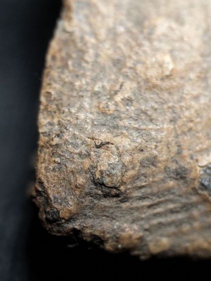 พระรอดลำพูนเนื้อจัดมากครับ รูปที่ 14