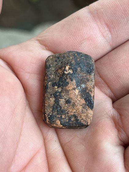 หลวงพ่อปาน รูปที่ 2