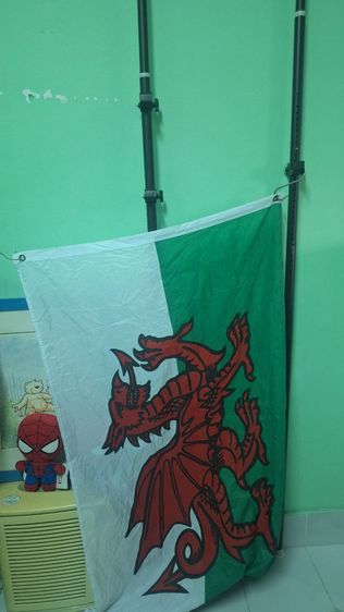 ธง ประเทศเวลส์และธงสหภาพยุโรป รูปที่ 7