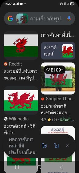 ธง ประเทศเวลส์และธงสหภาพยุโรป รูปที่ 9