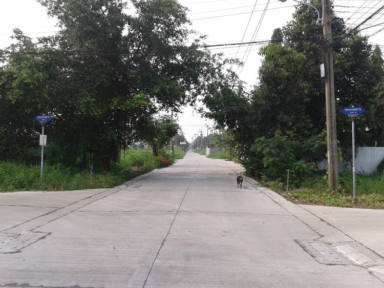 ที่ดินเปล่า 79 ตรว บรมราชชนนี 78 แยก 2 รูปที่ 2