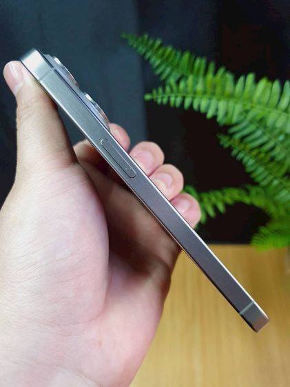 🚧 iPhone 15 Pro 256GB Natural Titanium 🚧 รูปที่ 7