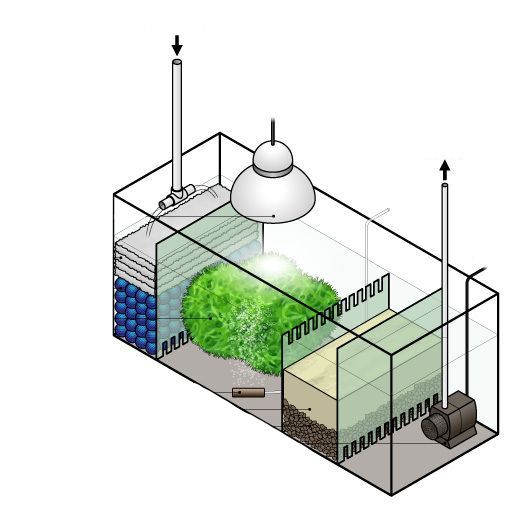 ตู้ปลา รูปที่ 6