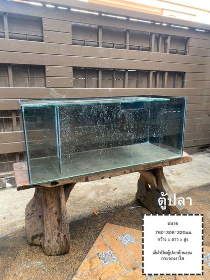 ตู้ปลา รูปที่ 2