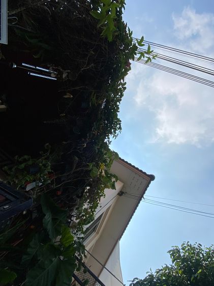 ตู้ปลา รูปที่ 4